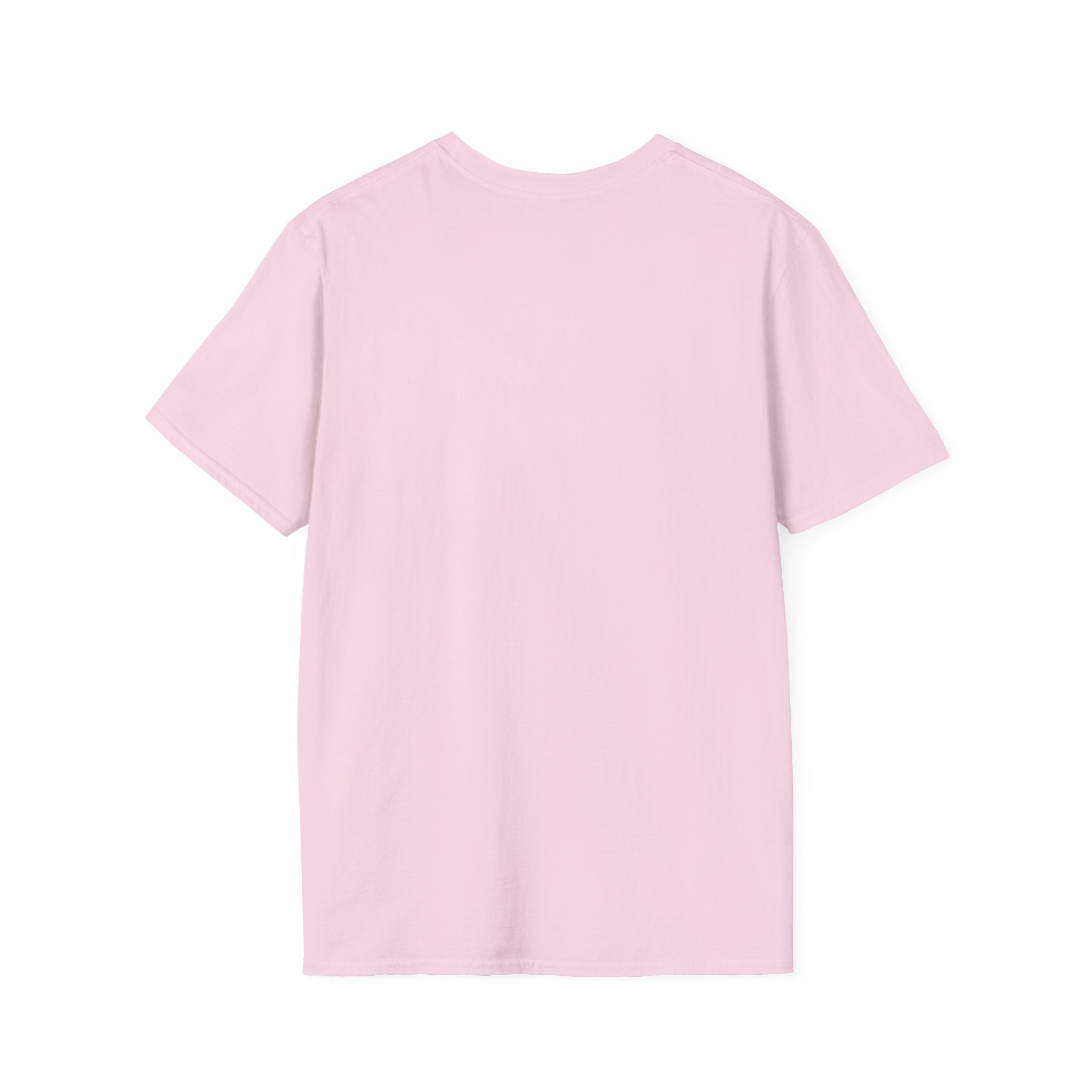 Fabulous Like a Flamingo T-Shirt — Cute Pink Flamingo Graphic Tee