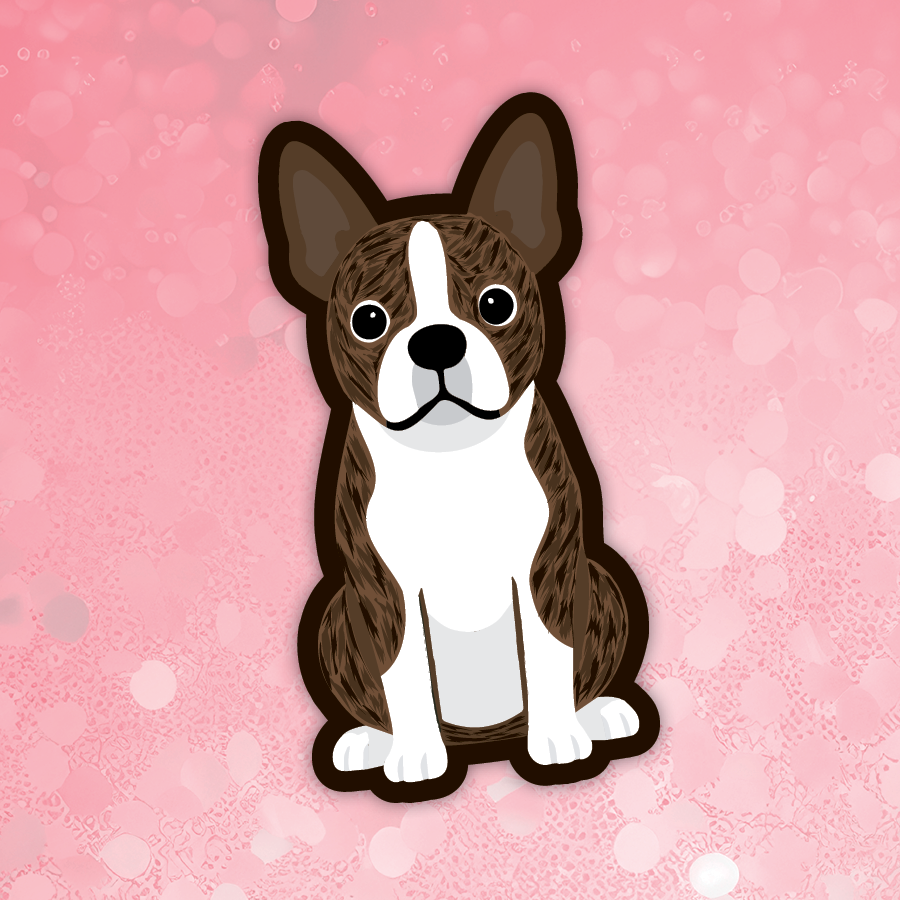 Boston Terrier brindle dog sticker