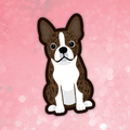 Boston Terrier brindle dog sticker