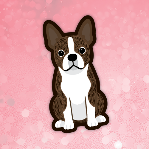Boston Terrier brindle dog sticker