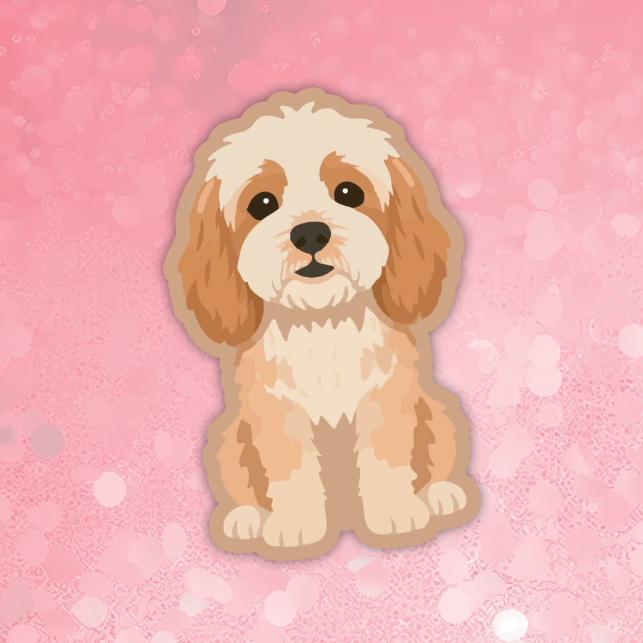 Cavapoo cream dog sticker