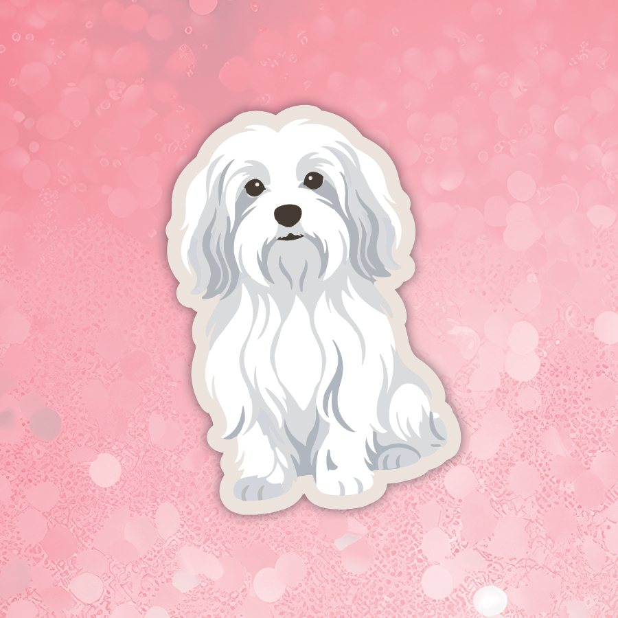Havanese white sticker