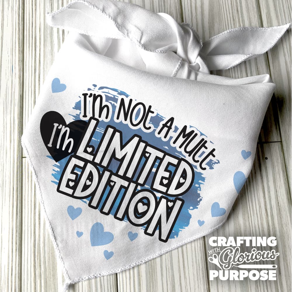 White bandana with text 'I'm not a mutt, I'm limited edition' on a wooden surface.