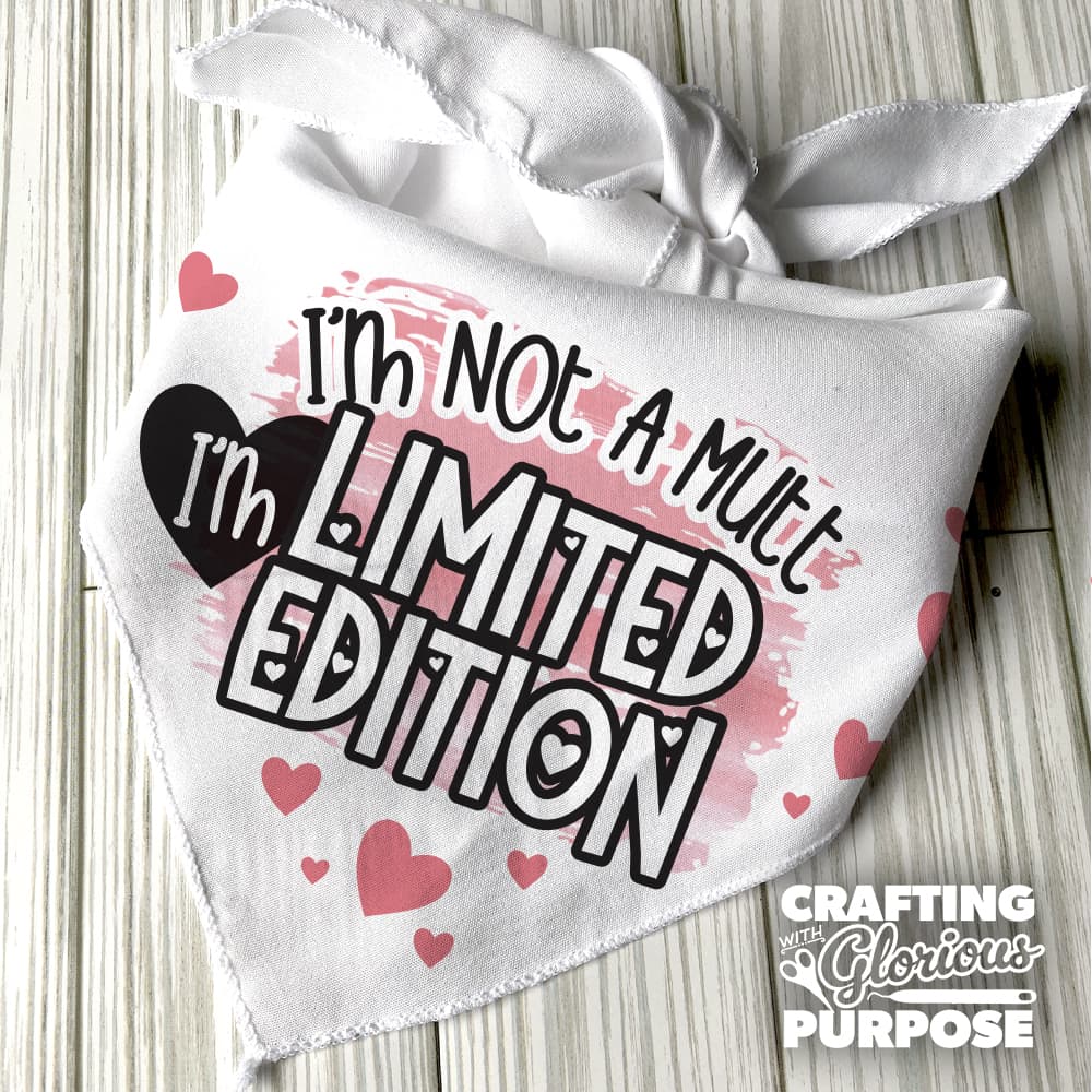 White bandana with text 'I'm not a mutt, I'm limited edition' and hearts on a wooden surface.