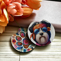 Bouvier - Car Coaster